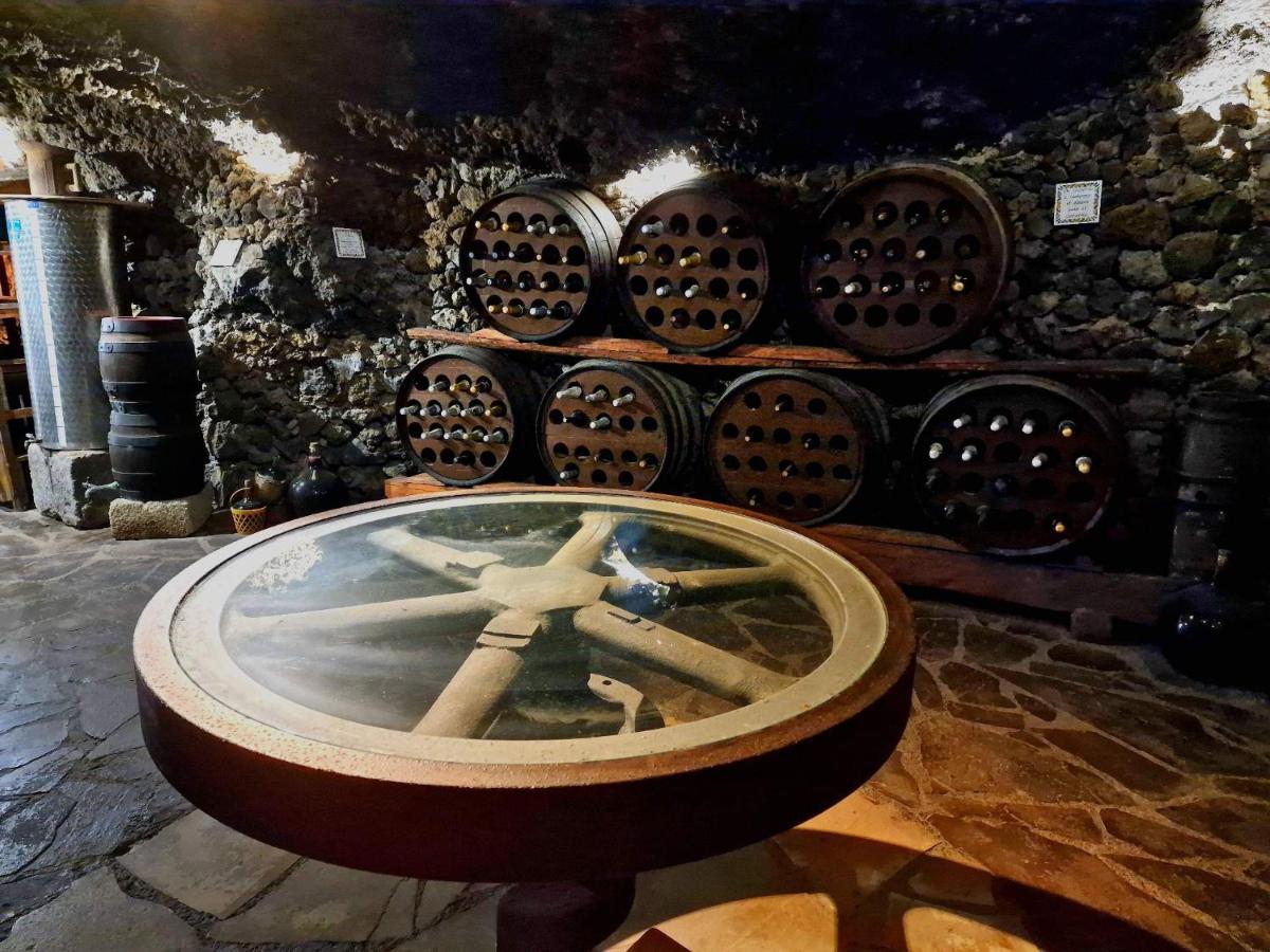 Loros Icod De Vinos By Hrtenerife Net *