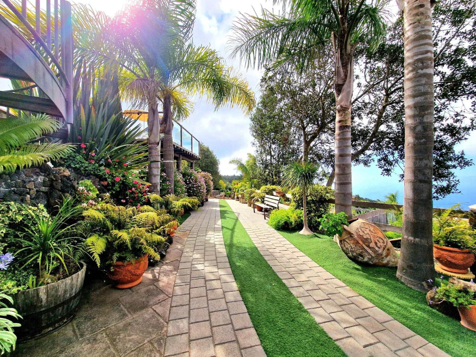Villa Loros Icod De Vinos By Hrtenerife Net